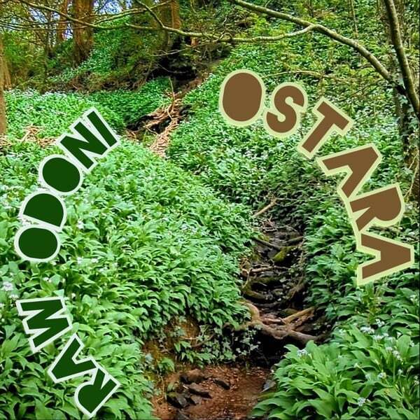 Cover art for Ostara